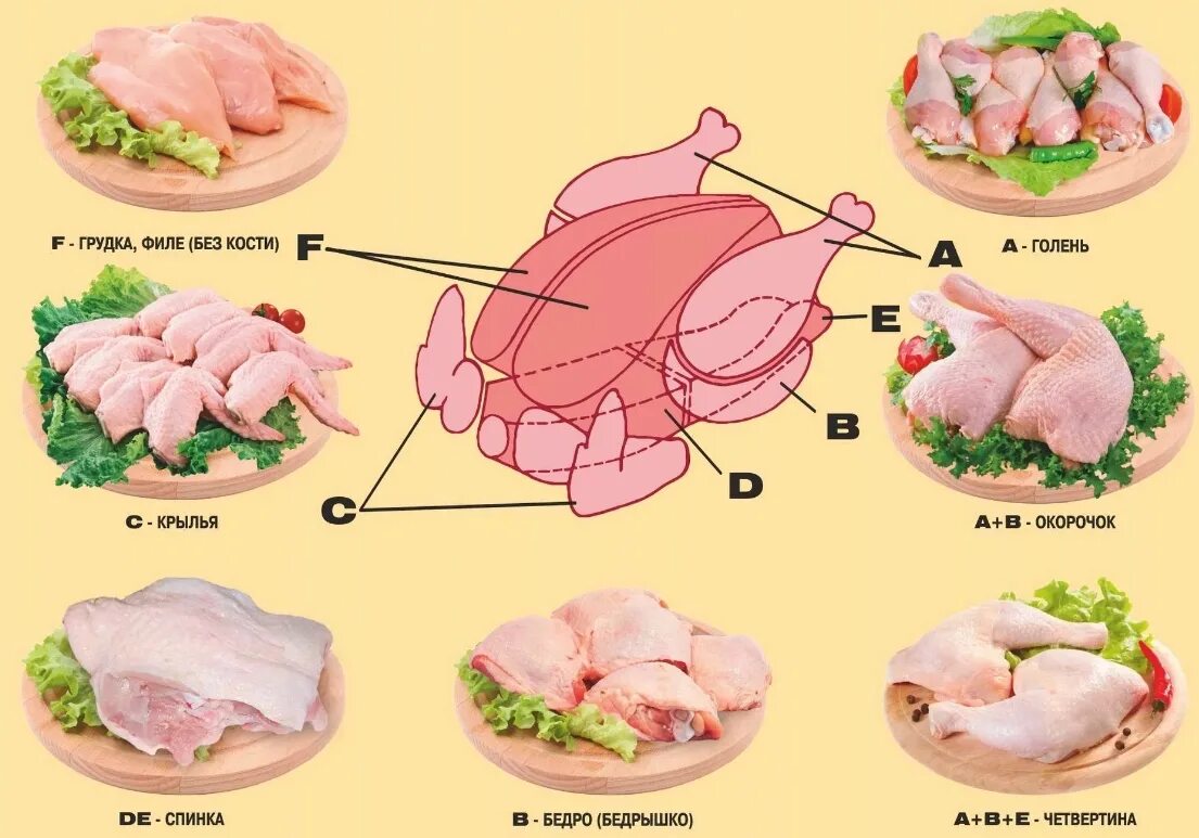 Разделка курицы на части схема фото пошагово Как разделать курицу правильно на части: пошагово, быстро и просто и что из нее 