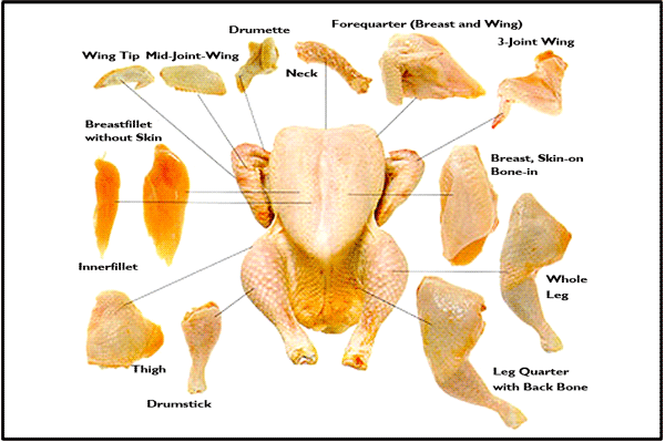 Разделка курицы на части схема фото пошагово Pin on 'butcher: CHARTS (bbq,barbecue,barbeque)