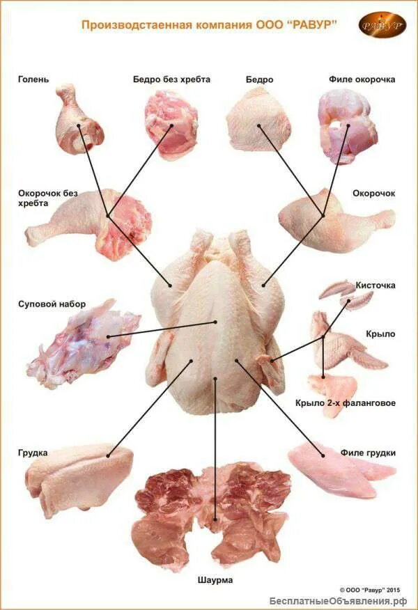 Разделка курицы на части схема фото пошагово Плакат "Разделка курицы" ламинир, А1 купить в Москве
