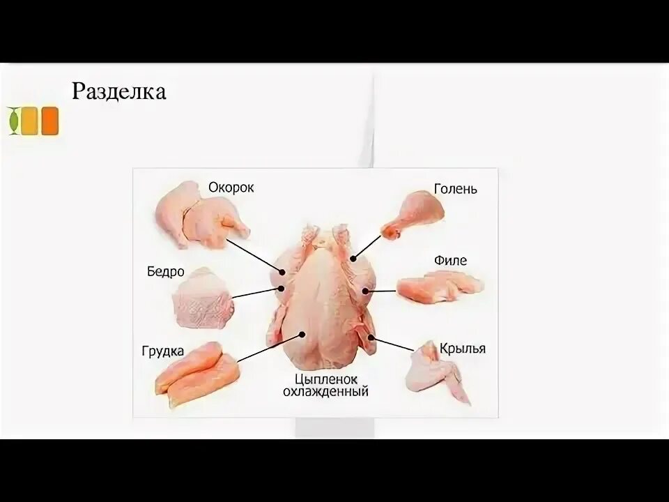 Разделка курицы на части схема фото пошагово Разделка курицы, быстро и понятно/ Как правильно разделать курицу/ Пошаговая инс