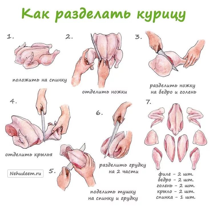 Разделка курицы на части схема фото пошагово Курица - самый доступный и популярный мясной продукт. Сейчас не проблема найти в