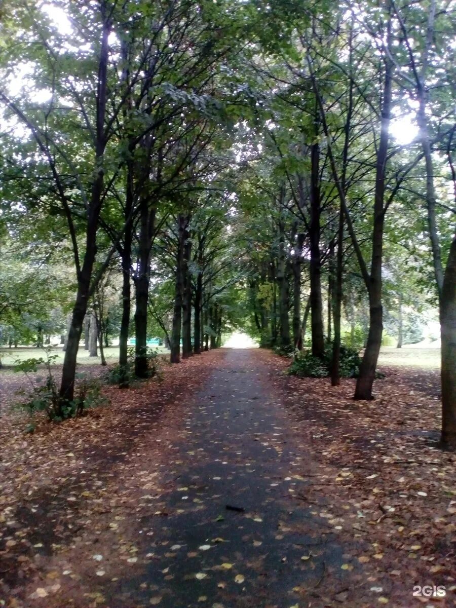 Разградский парк орел разградский парк фото Орловский городской парк (в статье много фото) - imgbolt.ru