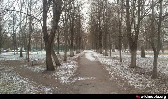 Разградский парк орел разградский парк фото Разградский парк - Орёл