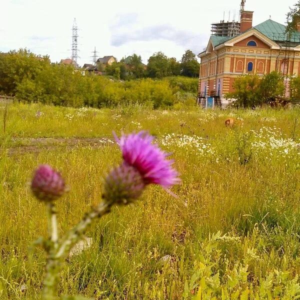 Разгуляй нижегородская область 22н 4533 фото Photos at Разгуляй - Neighborhood in Пермь