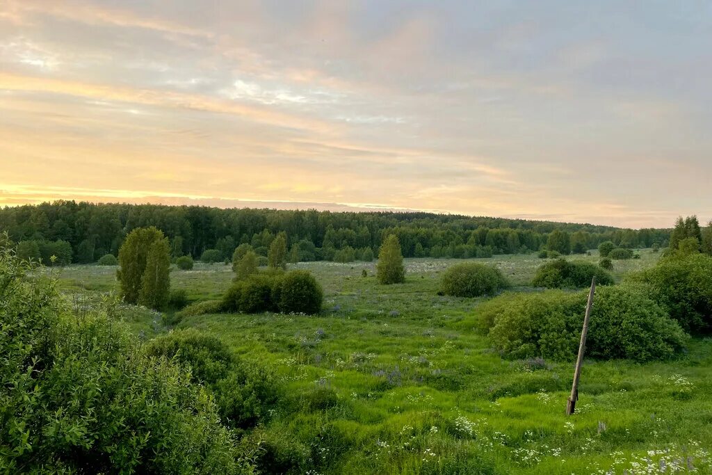 Разгуляй нижегородская область 22н 4533 фото Новая Муравьиха, земельные участки, Нижегородская область, Дальнеконстантиновски