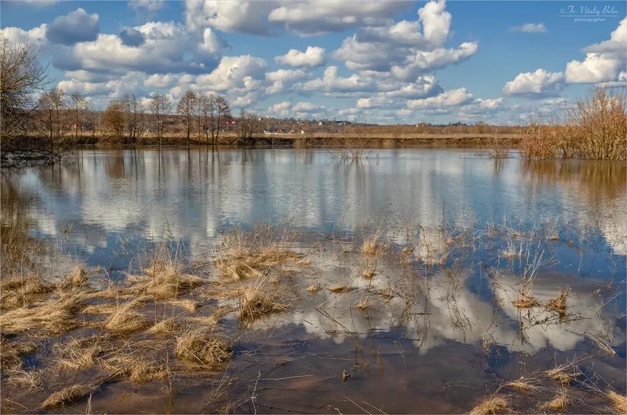 Разлив реки фото Фото жизнь - Colomna - Оптина, архитектура, пейзажи - Разлив реки Жиздры