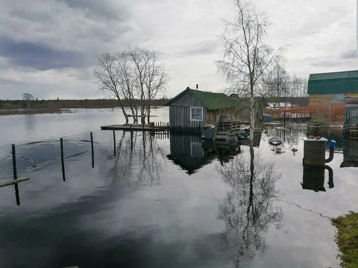 Разлив реки фото Разлив реки может подтопить дома в Белокаменке - Мурманский вестник - #129361