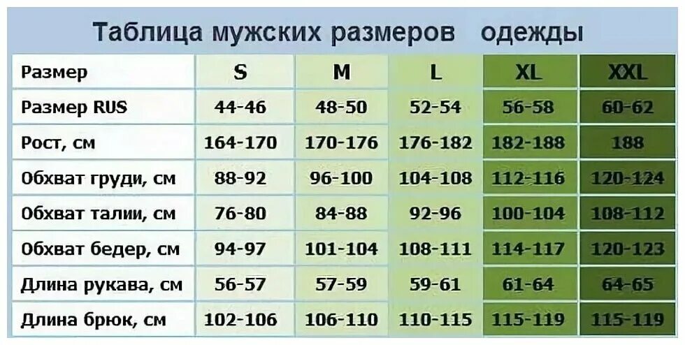 Размер 50 что одеть Костюм рыболовный "Mikado" (куртка и брюки), размер XL - купить в интернет-магаз