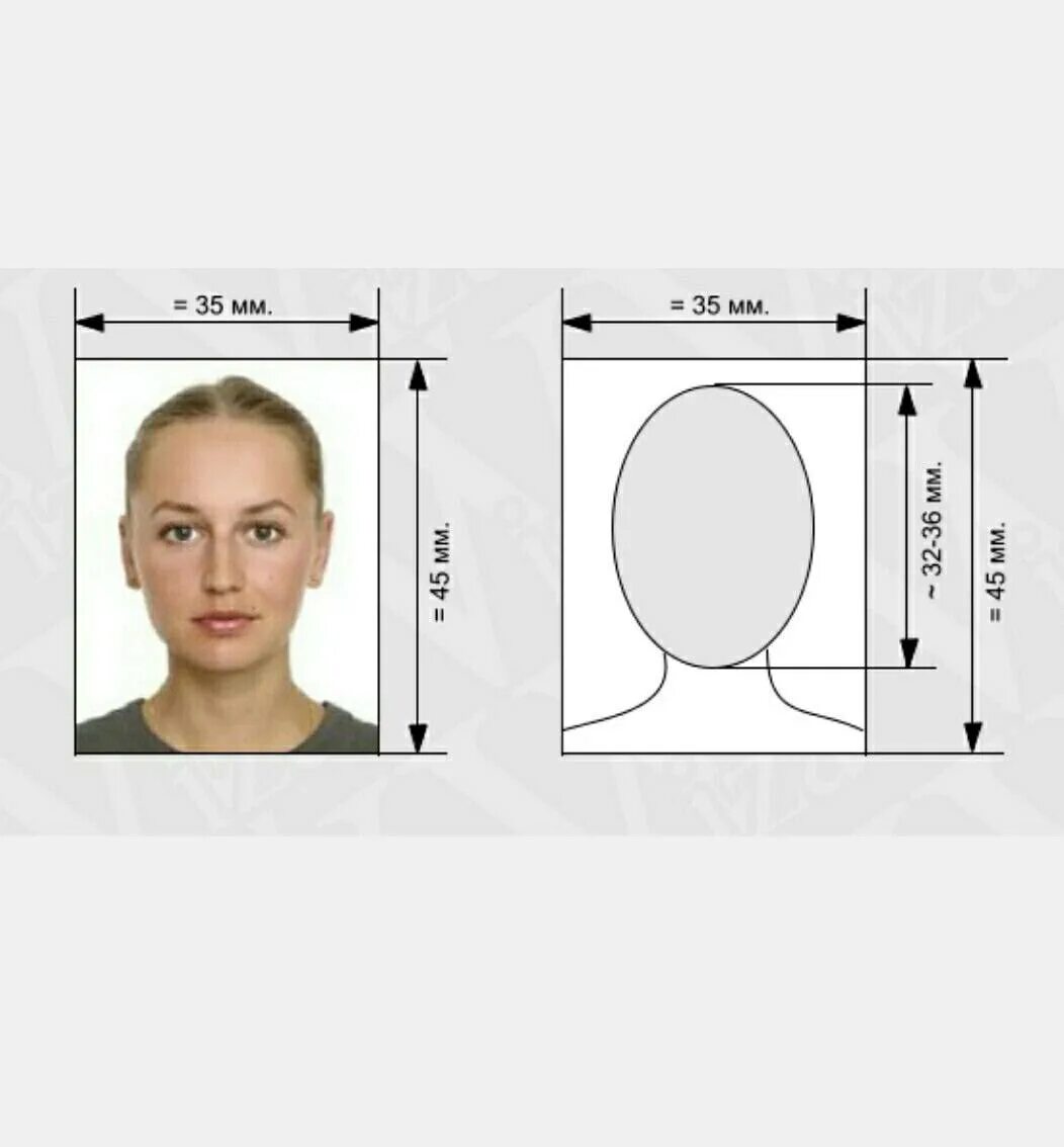 Размер фото на загранпаспорт старого образца Фото на загранпаспорт новый и старый: требования и образцы