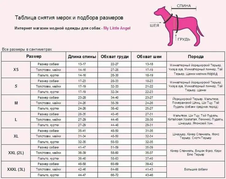 Размер фото собаки Пин на доске Одяг для тварин в 2024 г Одежда для собак, Мода для домашних животн