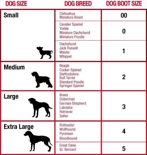 Размер фото собаки 5 Dog Shoe Size Chart By Breed 2k23 - wegadgets.net