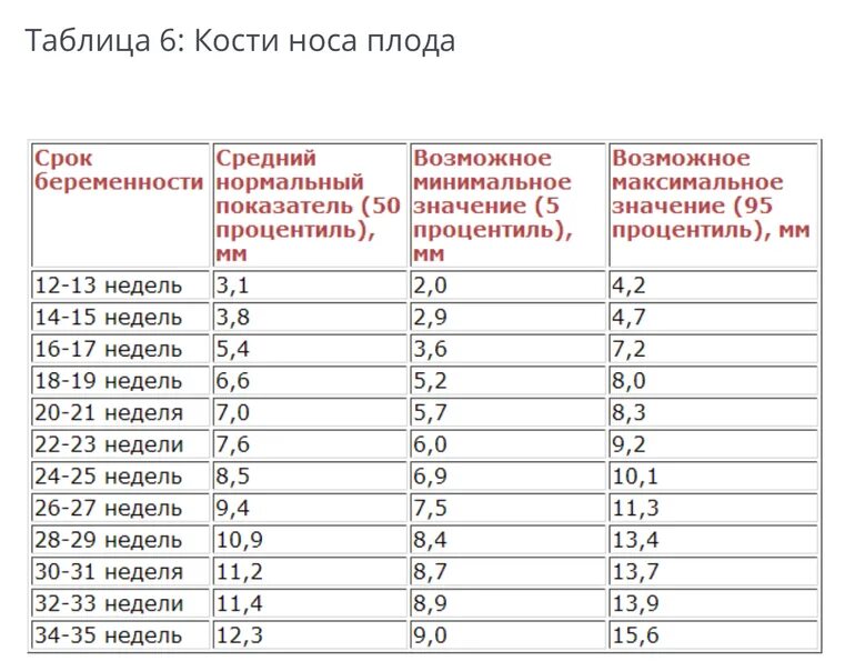 Фото 20 недель беременности Курортная Клиника Женского Здоровья