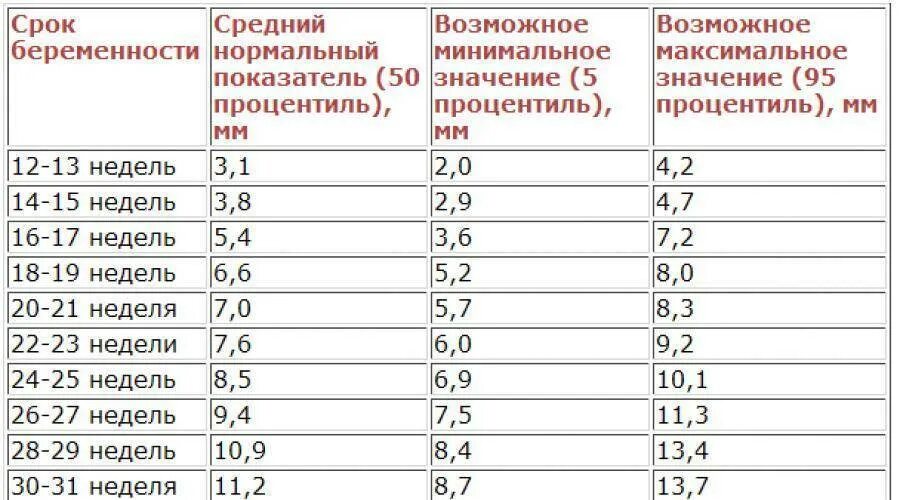 Размер плода 20 недель фото У плода гипоплазия носовой кости: что это значит, какие нормы с 12 недели береме