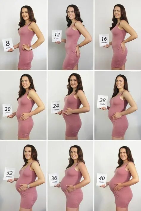 Размер живота по месяцам фото 10 популярных идей на тему "belly progression pictures" для вдохновения