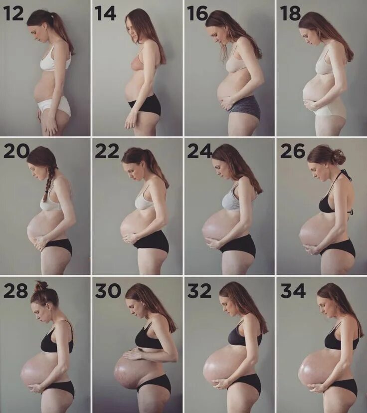 Размер живота по месяцам фото 15 Of The Most Viral Pregnant Women Of The Decade Fotos del vientre de embarazo,