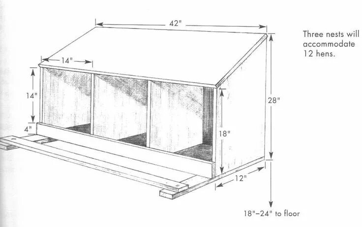 Размеры для яйцесборником своими руками чертежи Retrofit a Playhouse to a Chicken Coop Pt. 1: The Plan Constant Craftsman - Orga