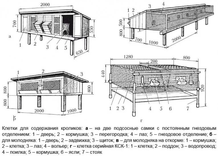 Размеры клеток кроликам своими руками чертежи клетки для домашнего содержания кроликов