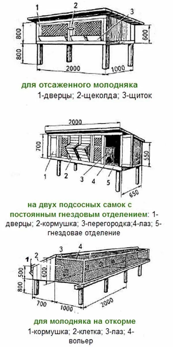 Размеры клеток кроликам своими руками чертежи Клетки для кроликов фото и чертежи Сам Себе Строитель