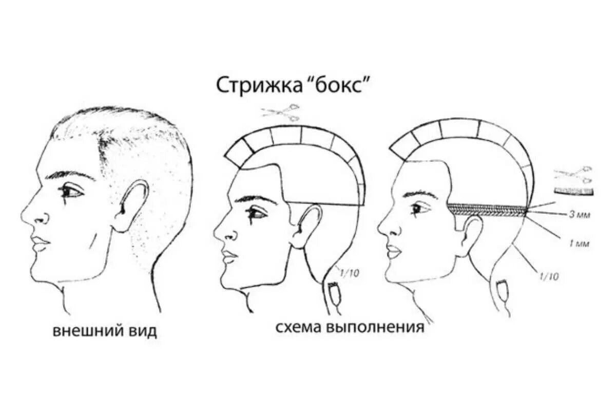 Размеры мужских стрижек Мужская стрижка с переходом: этапы стрижки и рекомендации по выполнению