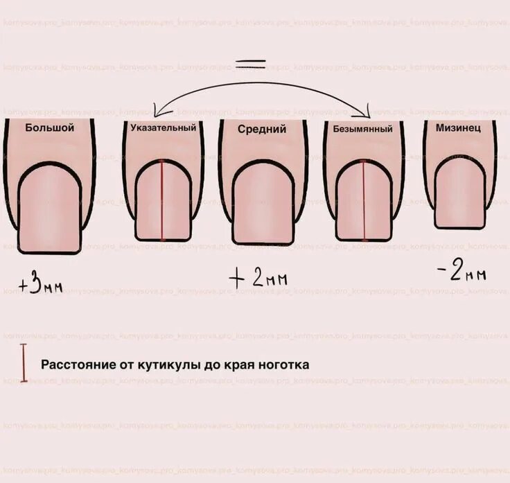 Размеры ногтей фото Pin on Ногти Printable nail art templates, Nail art tutorial, Nail studio