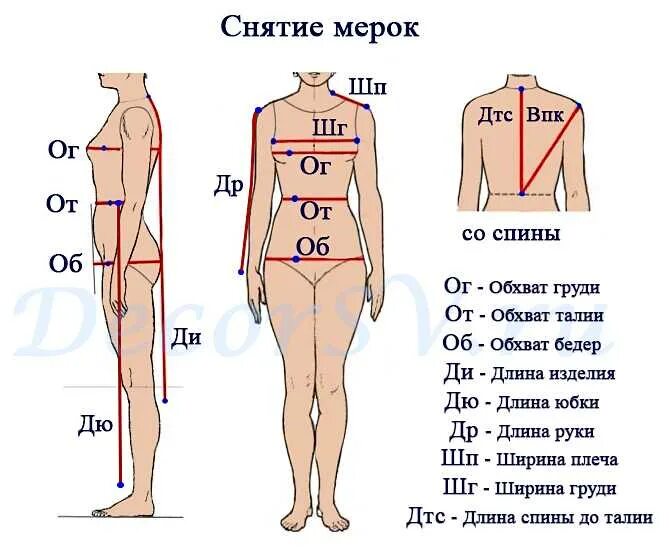 Размеры одежды для выкройки Картинки КАК ИЗМЕРИТЬ ТУЛОВИЩЕ