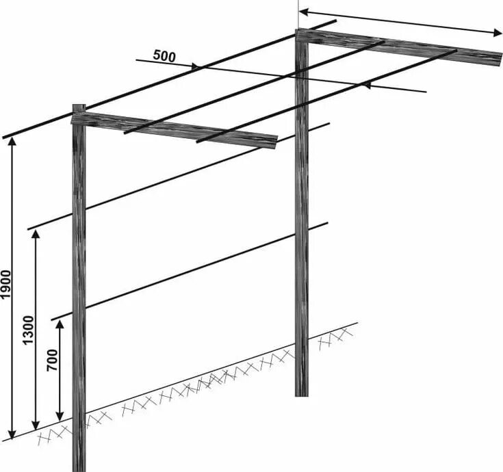 Размеры шпалеры для винограда своими руками чертежи Опора для винограда, арка, решетка своими руками из дерева, как сделать для Деви