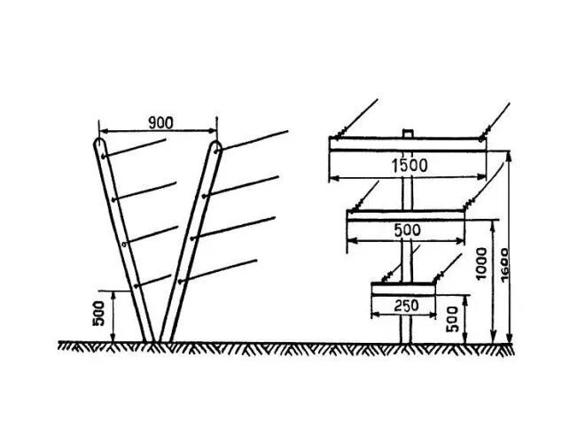 Размеры шпалеры для винограда своими руками чертежи Шпалера для малины - как сделать из пластиковой трубы, арматуры и сетки, правила
