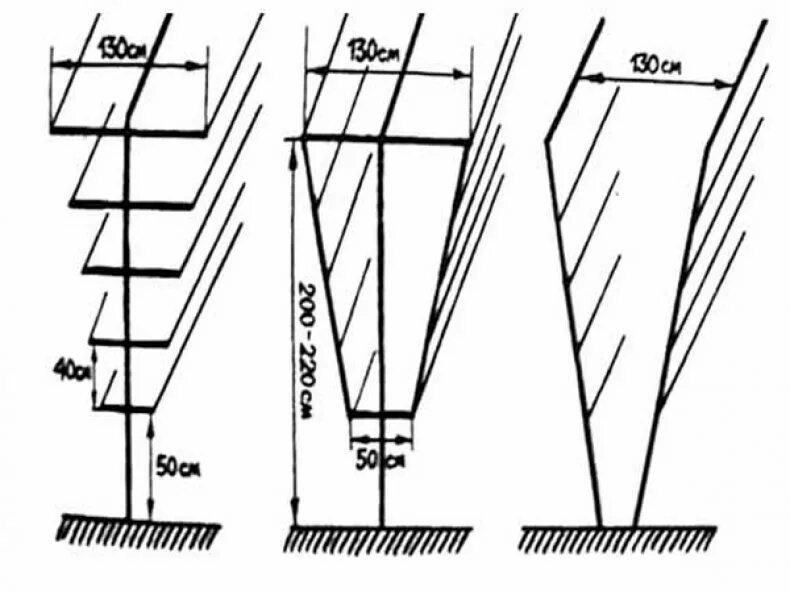 Размеры шпалеры для винограда своими руками чертежи Шпалеры для винограда своими руками, фото