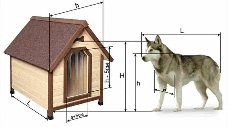 Размеры собачьей будки для средней собаки фото Cauti Cusca Caine - Aici gasesti totul despre cotet caine... Dog house plans, Ou