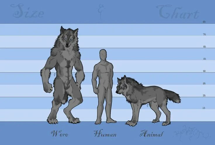 Размеры волка фото A Knave's Size Chart by RedWolfmoon Farlanders in 2019 Art, Werewolf art, Size c