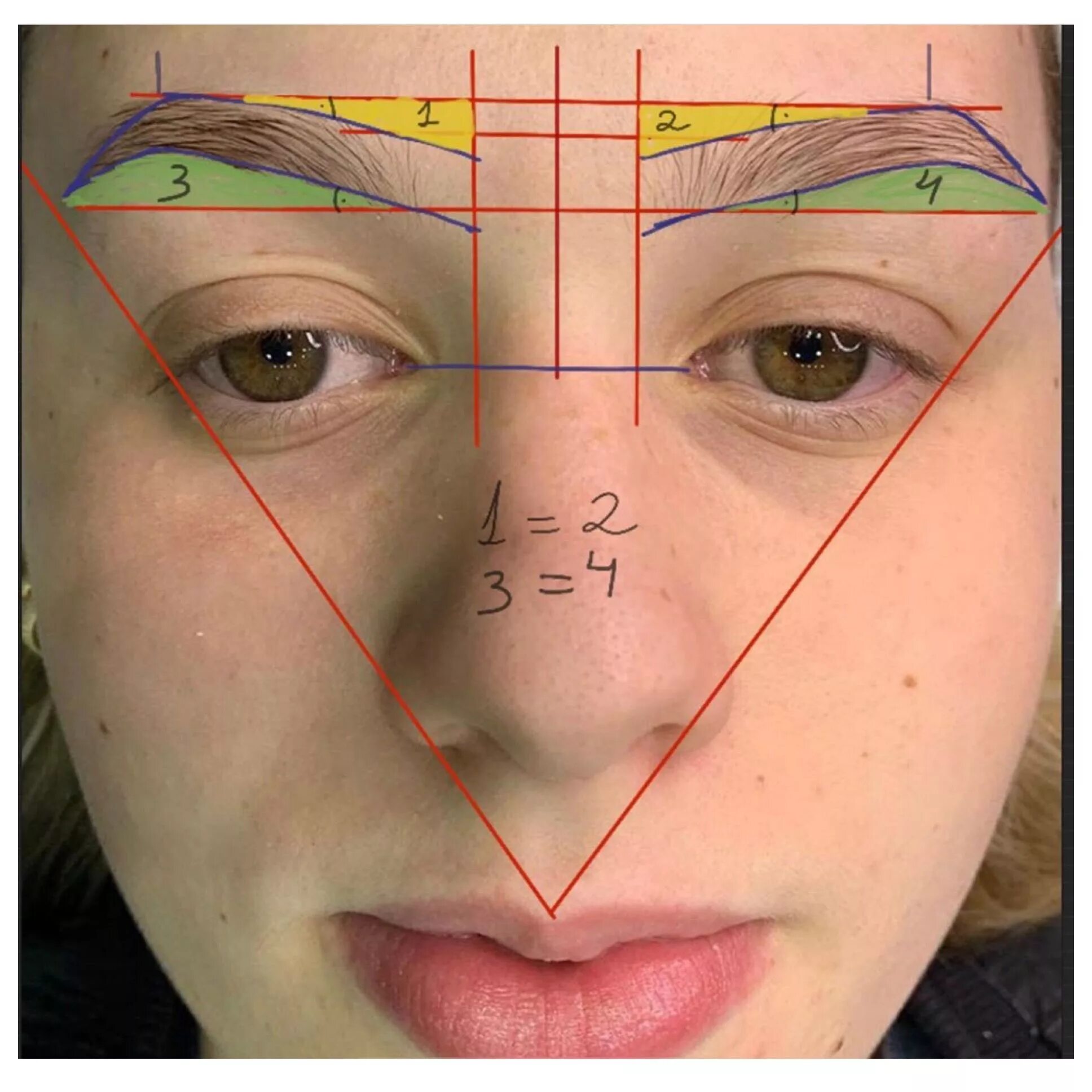 Разметка бровей фото Brow mapping Eyebrow design, Permanent makeup eyebrows, Eyebrow makeup tips