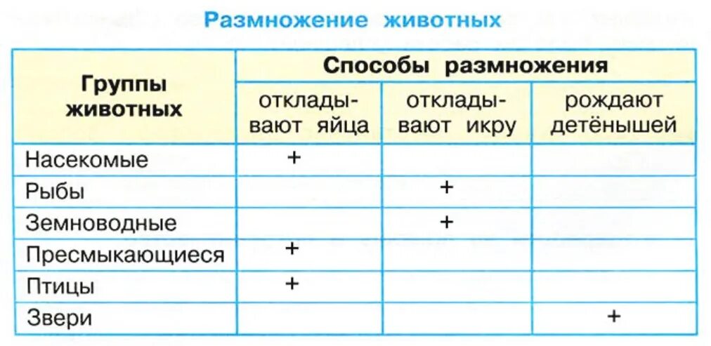 Размножение животных картинки Окружающий 3 класс размножение: найдено 88 изображений