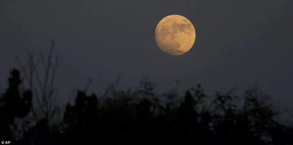 Размытое фото луны First glimpse of biggest supermoon in living memory ahead of full spectacle on M