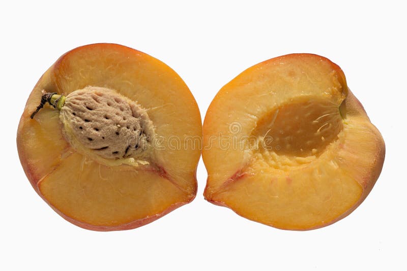 Разница между щавелем персиком и ракушкой фото The Peach Halves with Bone on a White Background Stock Image - Image of health, 