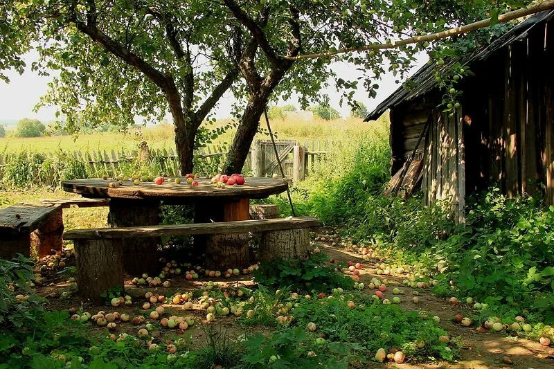 Разное фото село Деревенская идиллия в фотографиях Сергея Красноперова. Обсуждение на LiveInterne