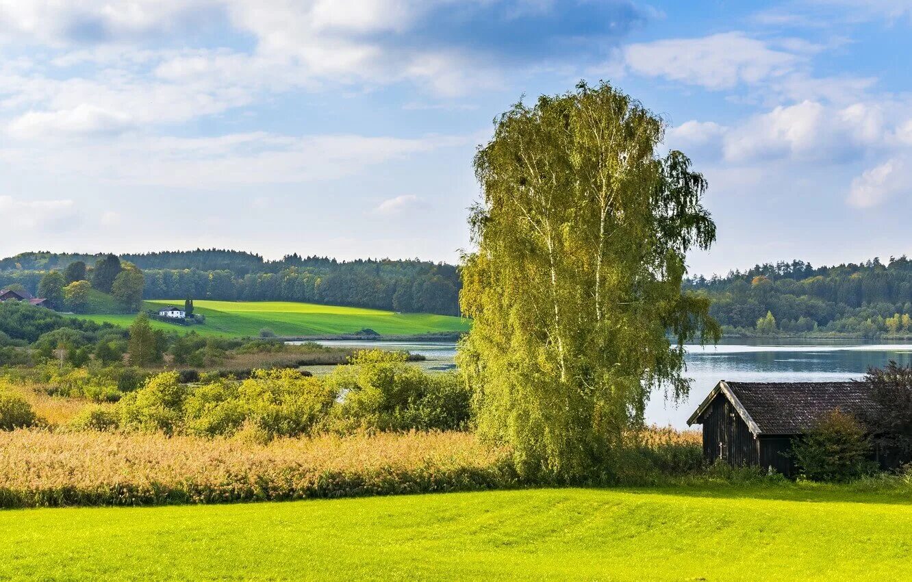 Разное фото село Межрегиональный историко-патриотический проект "Земля Отцов" - ГБПОУ НСО "Новоси