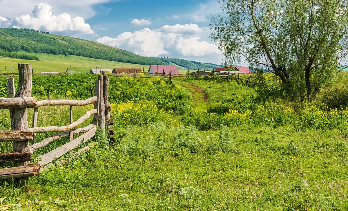 Разное фото село Деревенское лето :: Любовь Потеряхина - Социальная сеть ФотоКто