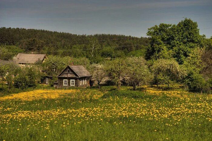 Разное фото село Wooden house in 2024 Wooden house, House, House styles