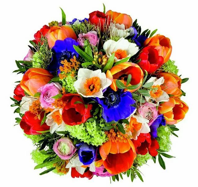 Разноцветные букеты цветов фото Pin auf Цветы Blumenstrauß bilder, Blumen, Blumenbilder