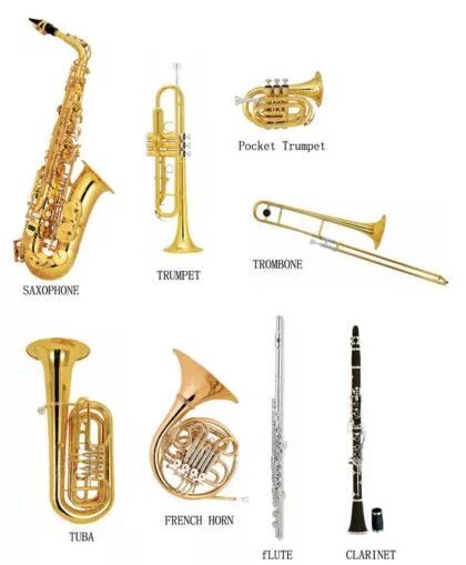 Разновидность духовых инструментов фото Instrumento-de-vento Woodwind instruments