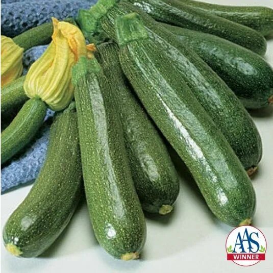 Разновидность кабачков фото Squash Fordhook Zucchini All-America Selections Zucchini, Squash seeds, Squash