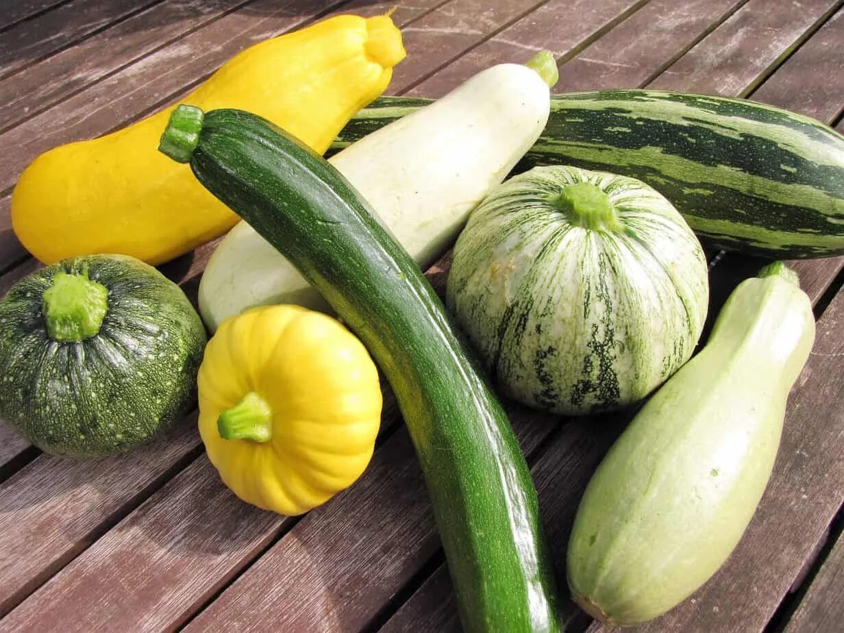 Разновидность кабачков фото Courgette-briesoep - Diana's mooie moestuin