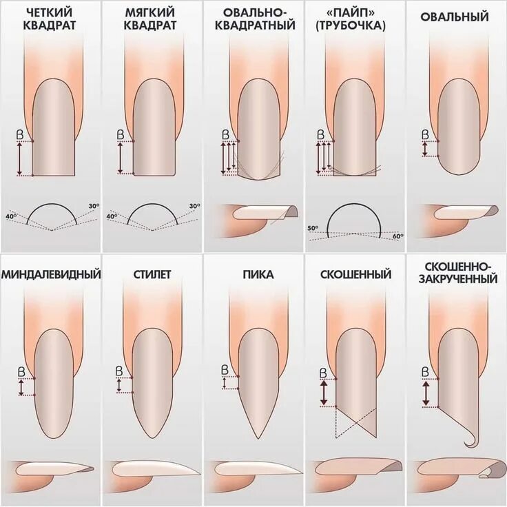 Разновидность ногтей фото Pin de Inessa Loongoo en Схемы маникюра/diagrams Técnicas de uñas, Clases de uña