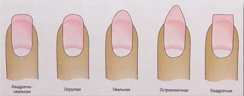 Разновидность ногтей фото Изменение формы ногтей купить по цене 100 ₽ в Москве - ЯПокупаю