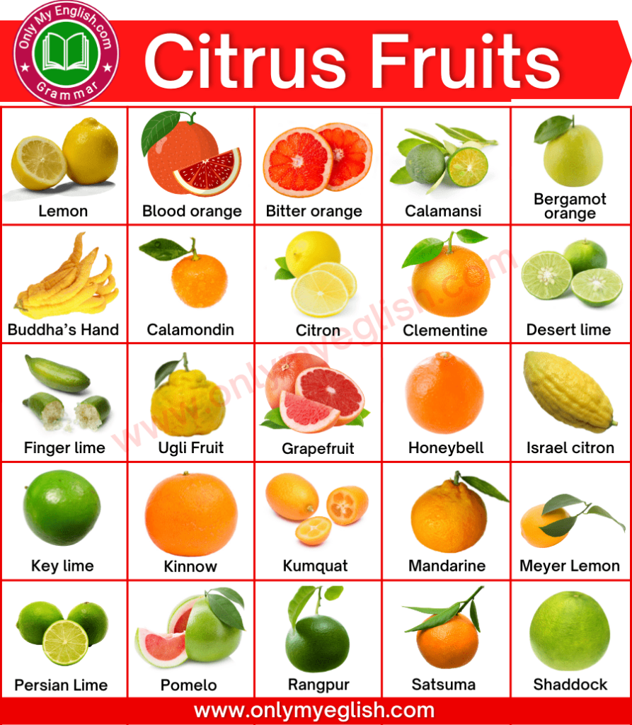 Разновидность цитрусовых фруктов названия и фото Citrus Fruits: List of 30+ Citrus Fruits are rich in Vitamin C " OnlyMyEnglish C