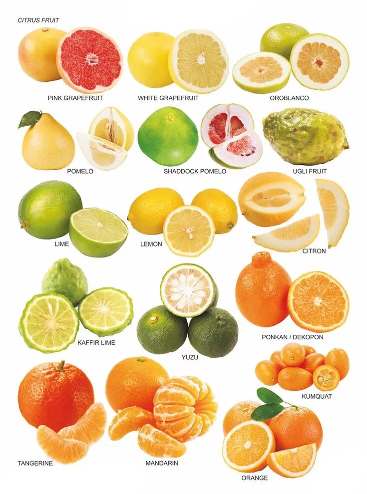 Разновидность цитрусовых фруктов названия и фото citrus-fruit-chart Fruit list, Fruit, Citrus fruit list