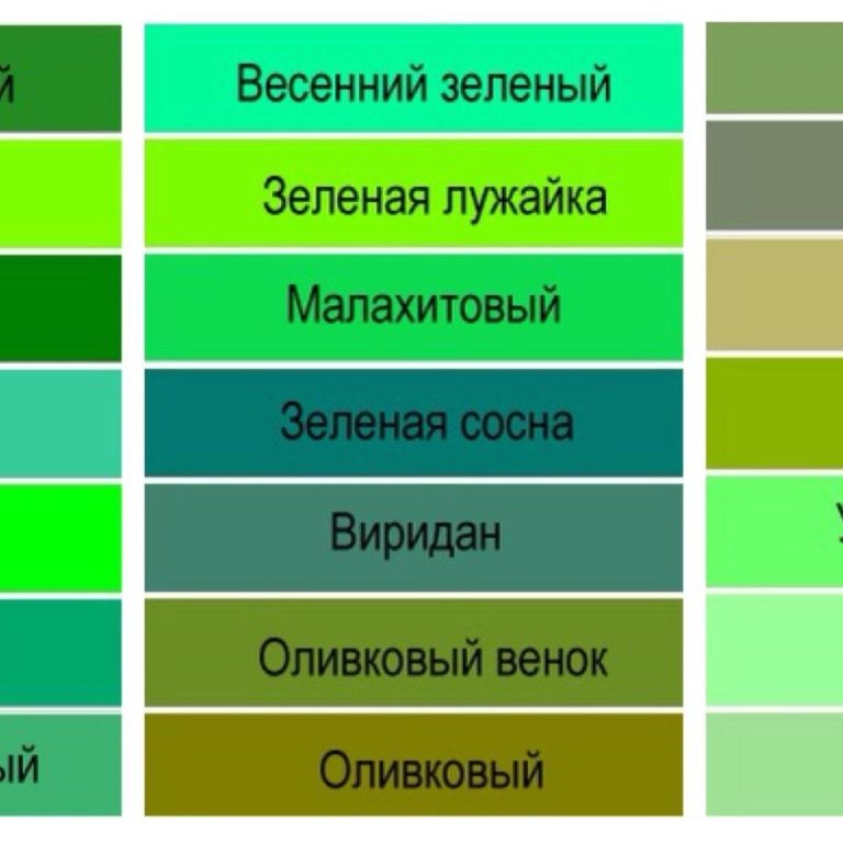 Разновидность зеленого цвета фото Все оттенки зелёного цвета