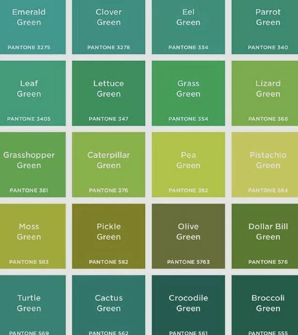 Разновидность зеленого цвета фото Which is Your Favorite Pantone Green?