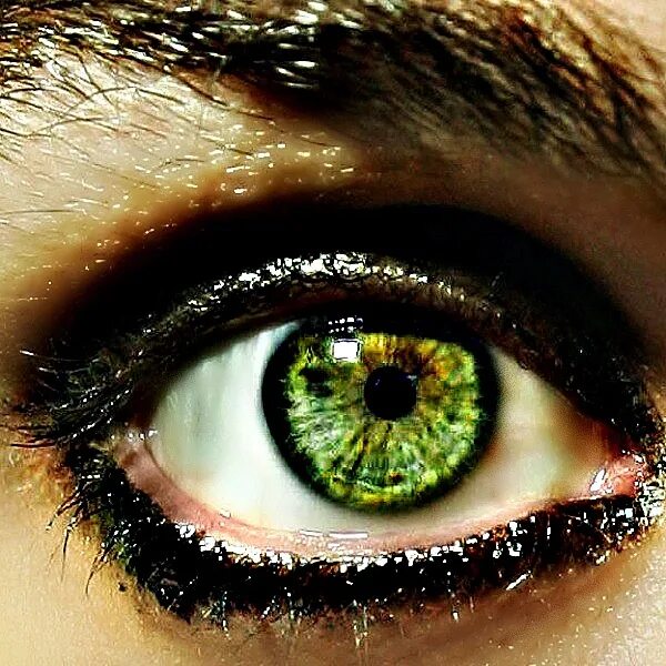 Разновидность зеленых глаз фото Billie Joe Armstrong's eyes are just an amazing color!!! Just ugh! So beautiful!