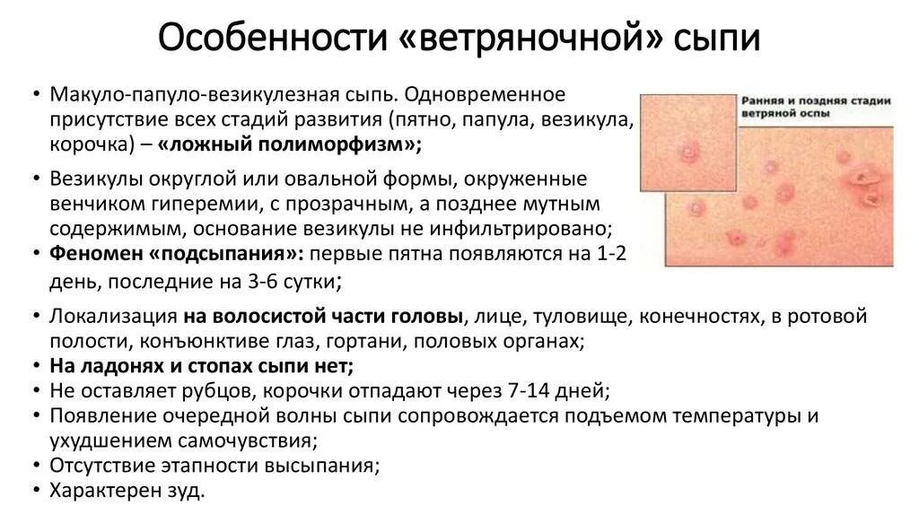 Разновидности герпеса на теле фото и описание Токсическая эритема новорожденных: причины, лечение и последствия